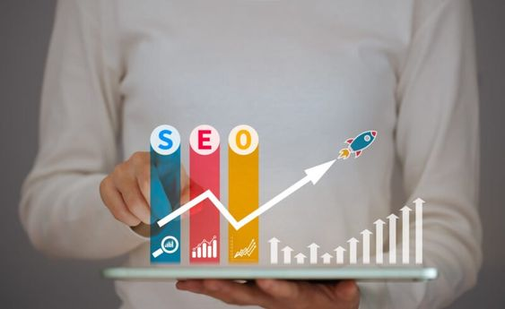 Seo Manager Guide
